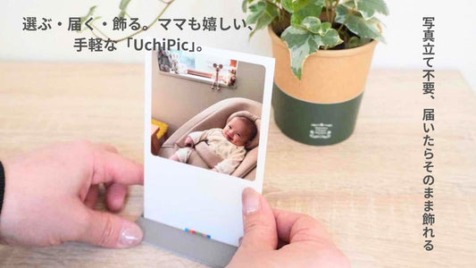 【申込】UchiPic（うちピク） 6枚組×1セット